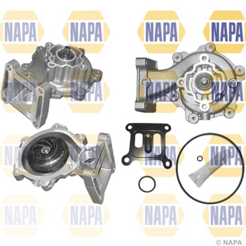Water pump for ford - for, fn